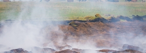 Торфяные пожары разгневали правительство Бурятии