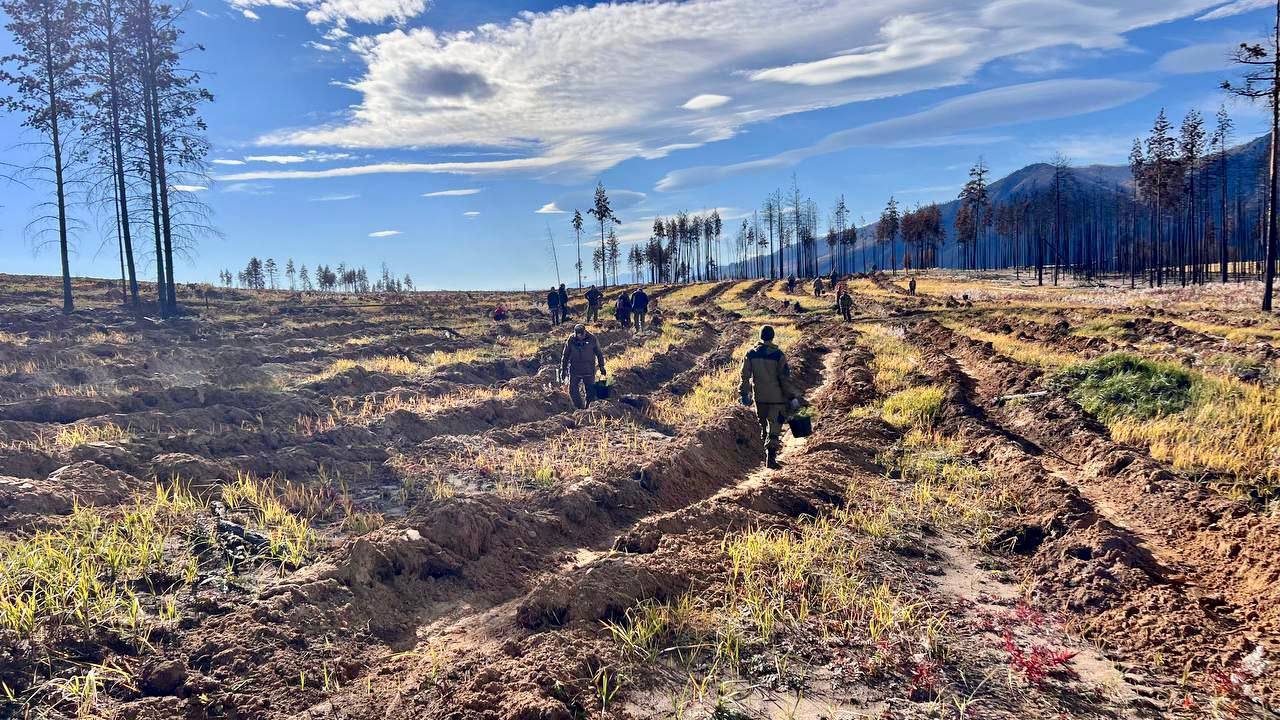 � ������� ������������ ����� 200 ����� �������� ����