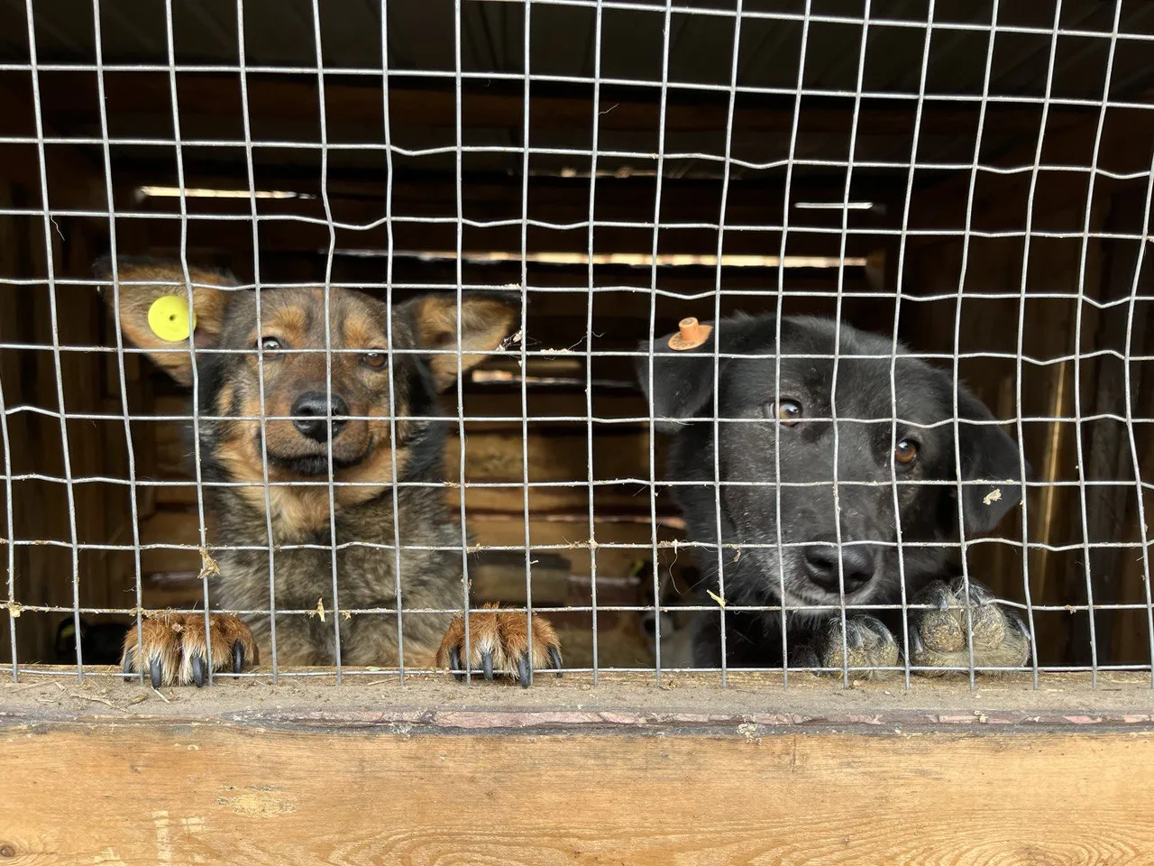 � ������ ���� �� ������ ����-��� �������� 637 �����