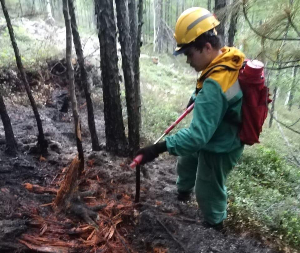 В районе Бурятии из-за грозы воспламенился лес 