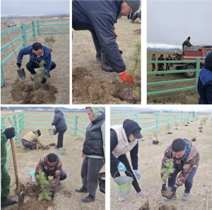 В Баргузинском районе Бурятии прошла акция «Сад Памяти»