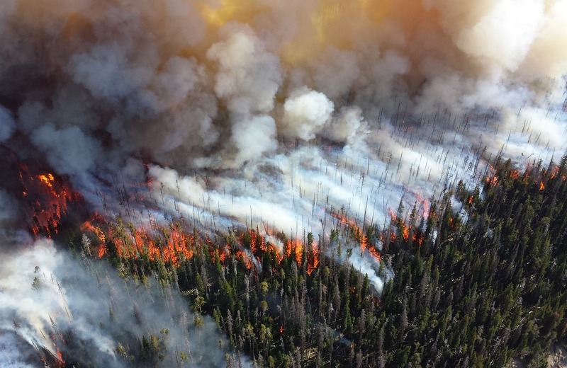 В Бурятии горят леса северных районов республики