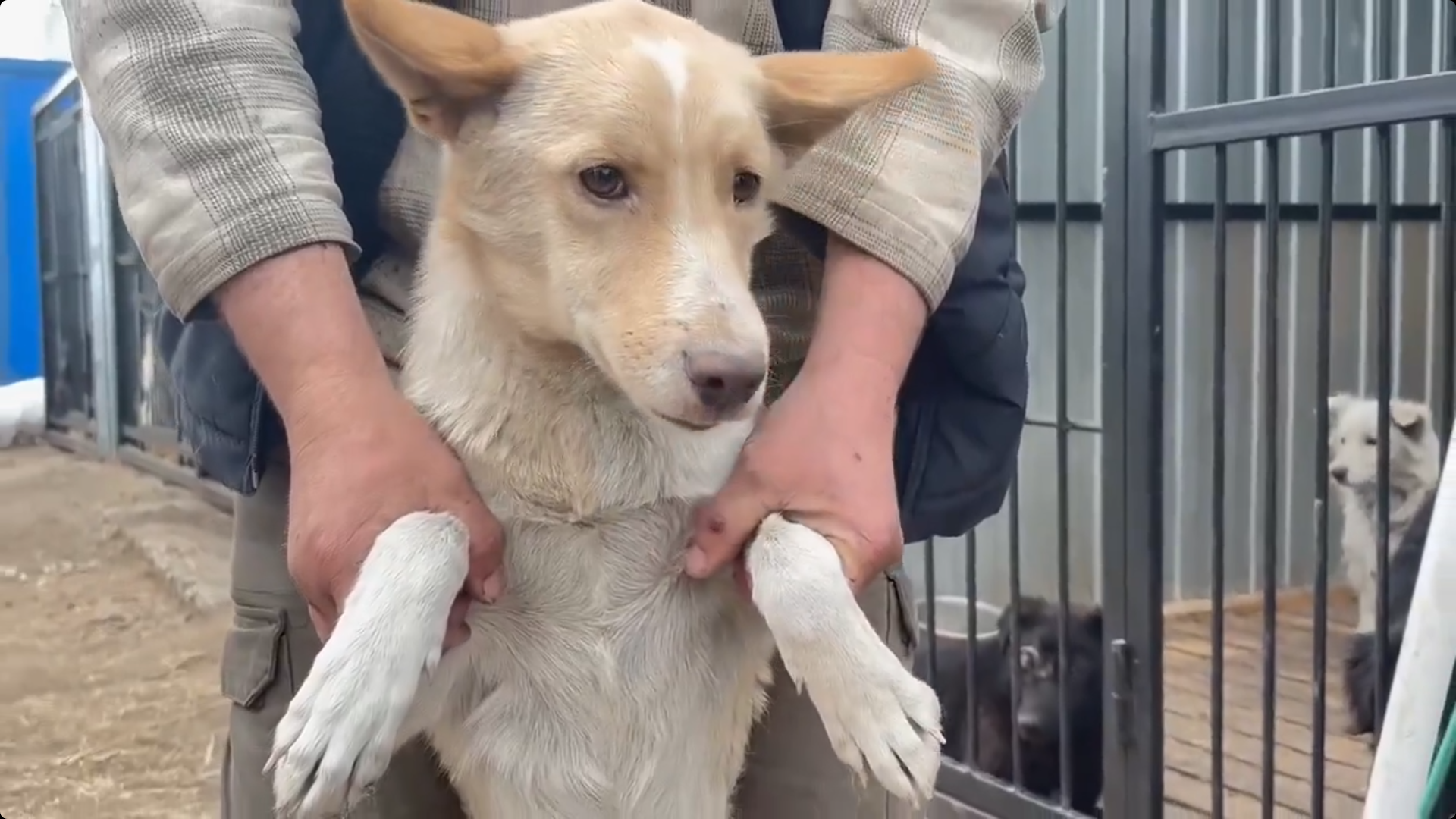 � ����-��� ������ ��������� ���� ��������� �� ����� ���������