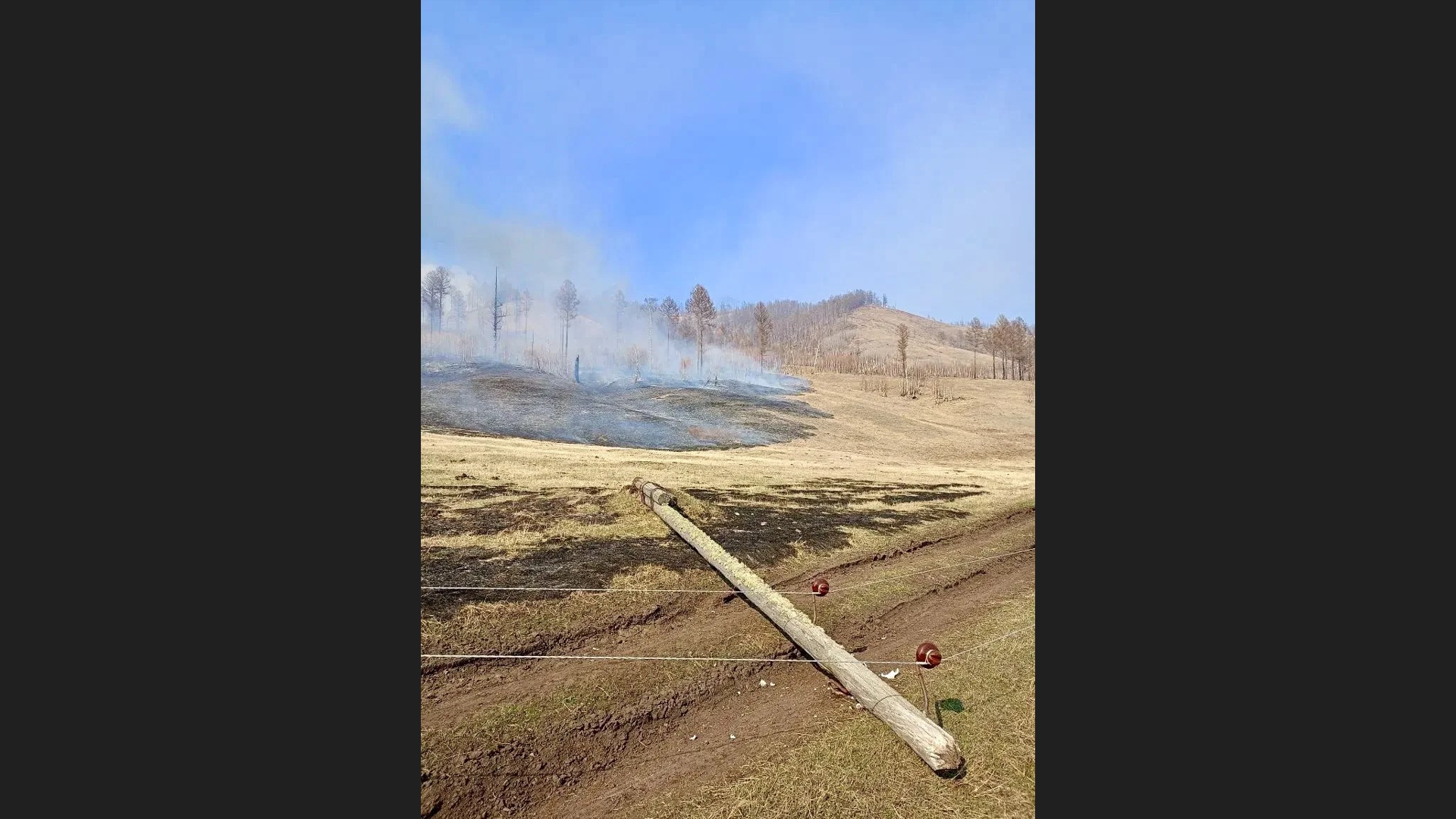 � ������� � ����������� ������ 220 ����� ������ �� ������ �����