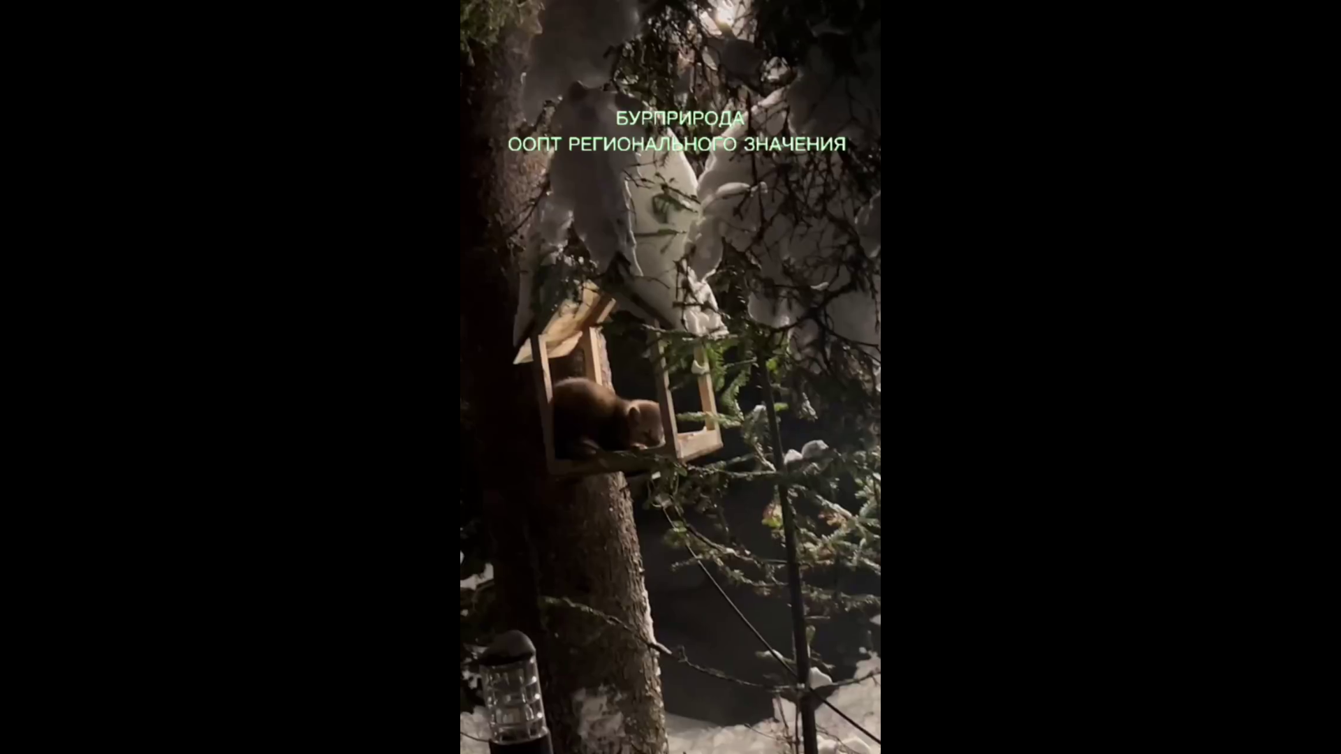 � ������� ����������� ������������ ������