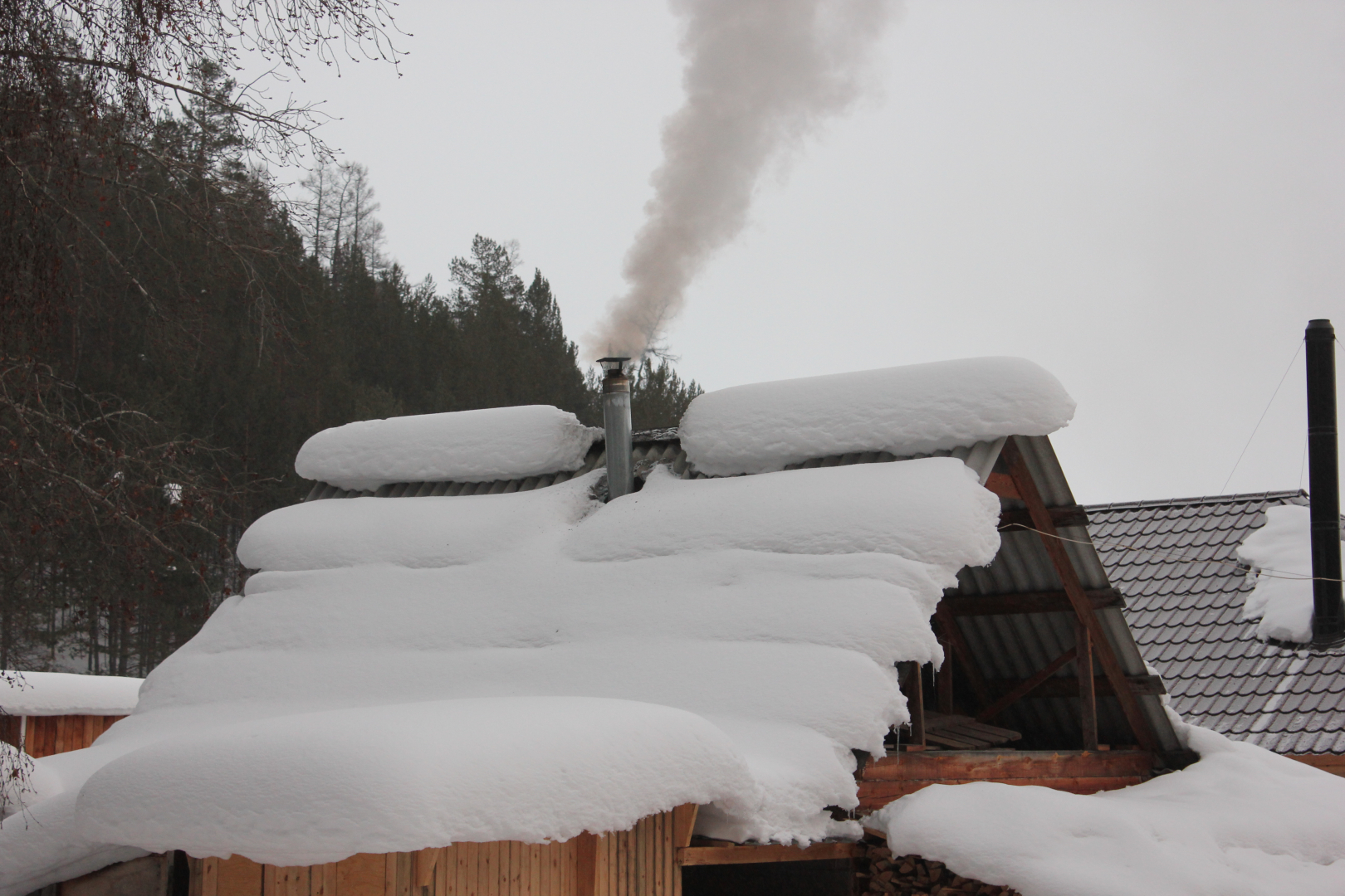 ���� � ������ ���������� � ������� ��������� �� ���