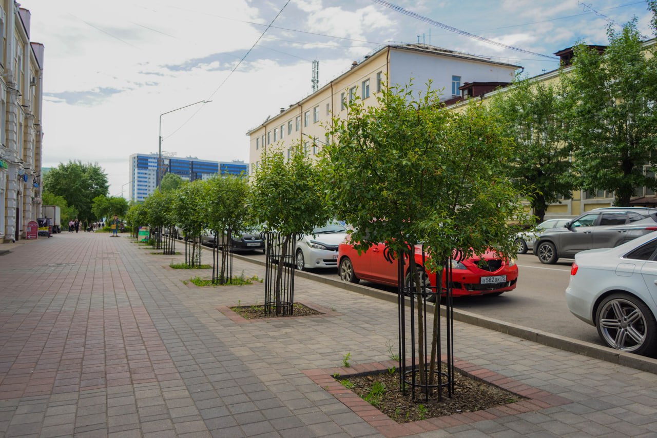 На площади Советов заметно подросли яблони