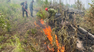 В районах Бурятии продолжают гореть леса