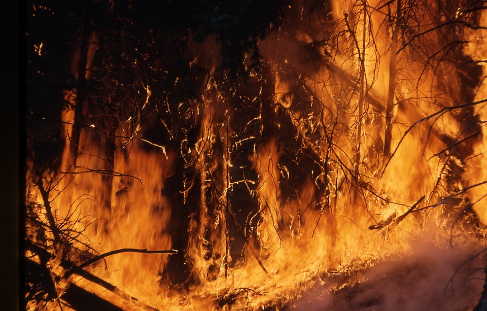 В Бурятии тушили три лесных пожара