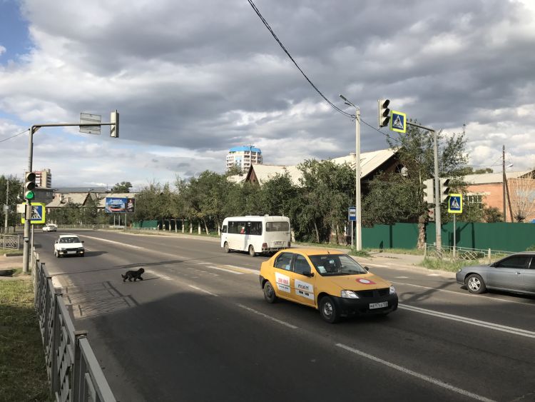 Жители Улан-Удэ борются за беспрепятственный выезд на большую дорогу Жители Улан-Удэ борются за беспрепятственный выезд на большую дорогу