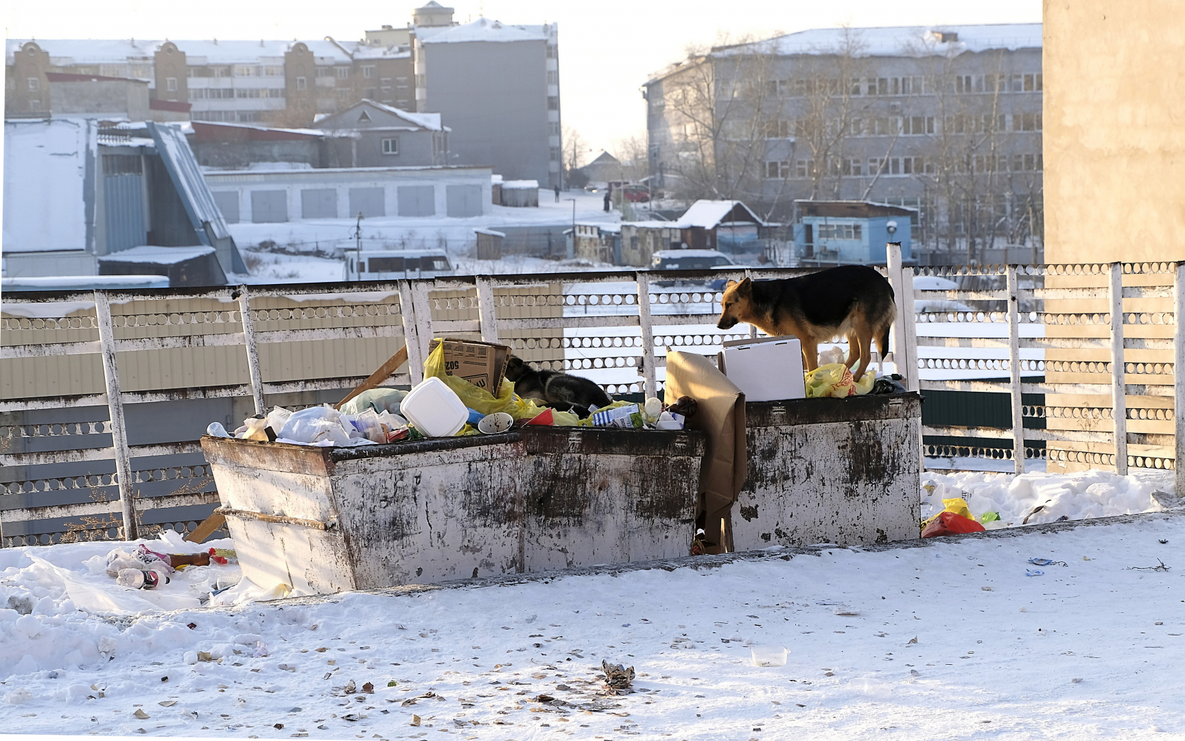 Бурятия не знает, что делать с мусором