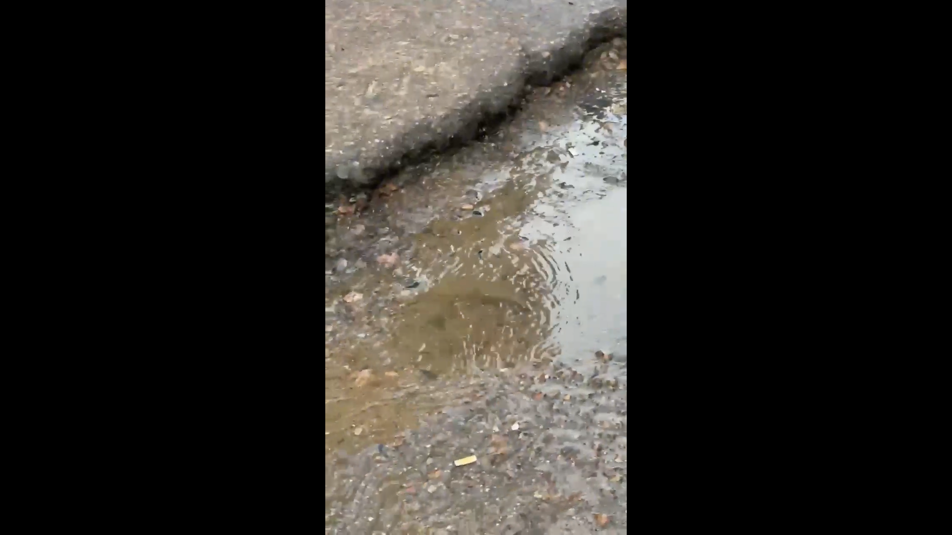 � ����-��� ��������� ���� �� ������������� 