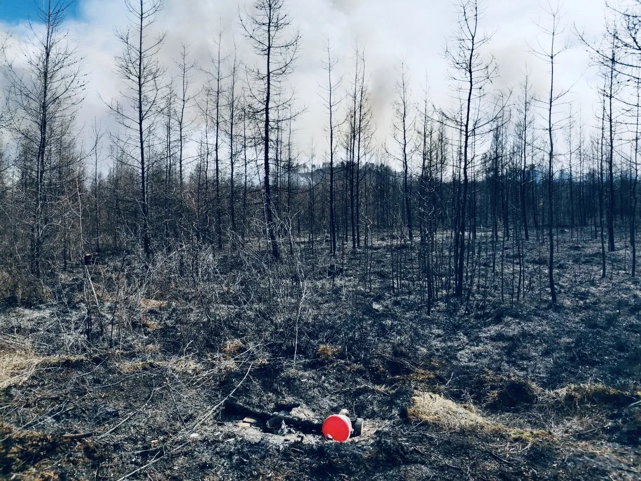 � ������� �������� �������� � ���������� ����� �����