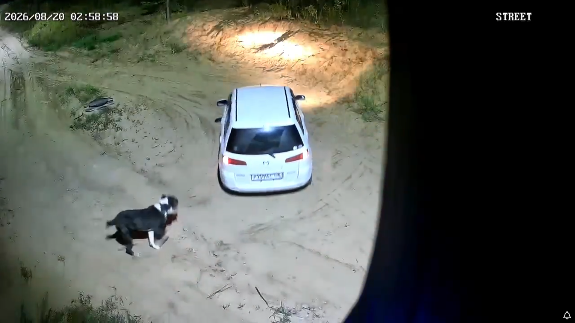 � ����-��� ������� �� ����� ����� ������ � ������ ������ ������