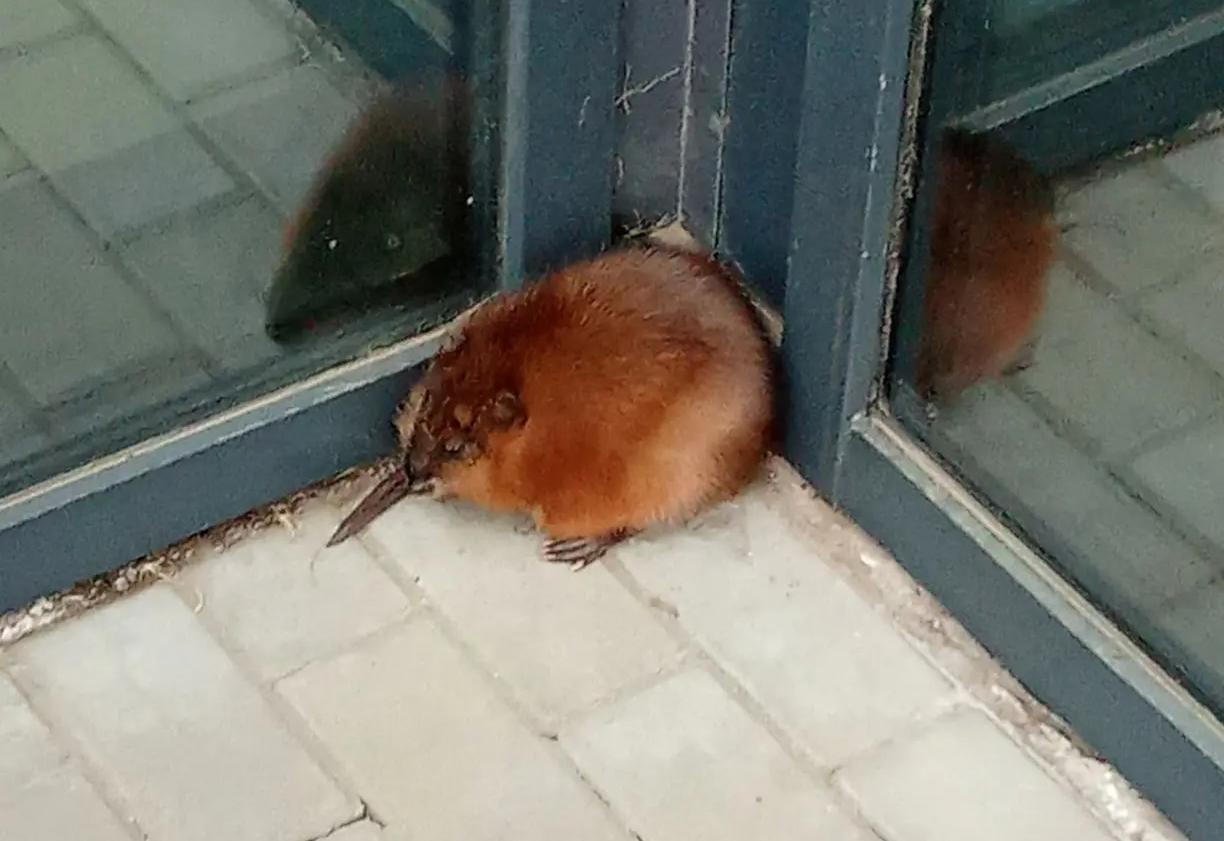 � ��������� � ����-��� ��������� ������� 