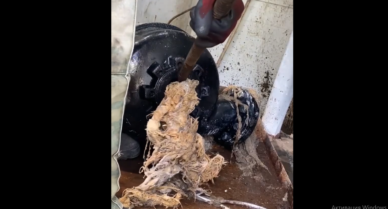 � ����-��� ���������� ��� �� �������� ������������ �����������