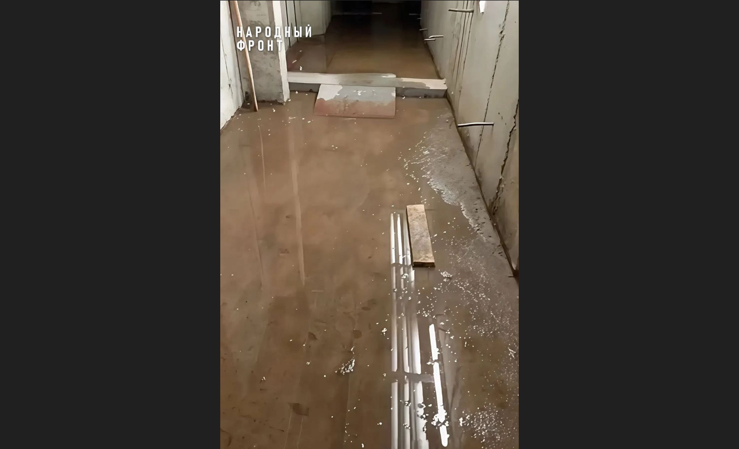 � ����-��� ������ ����������� �������� �� ����� ����������� ������