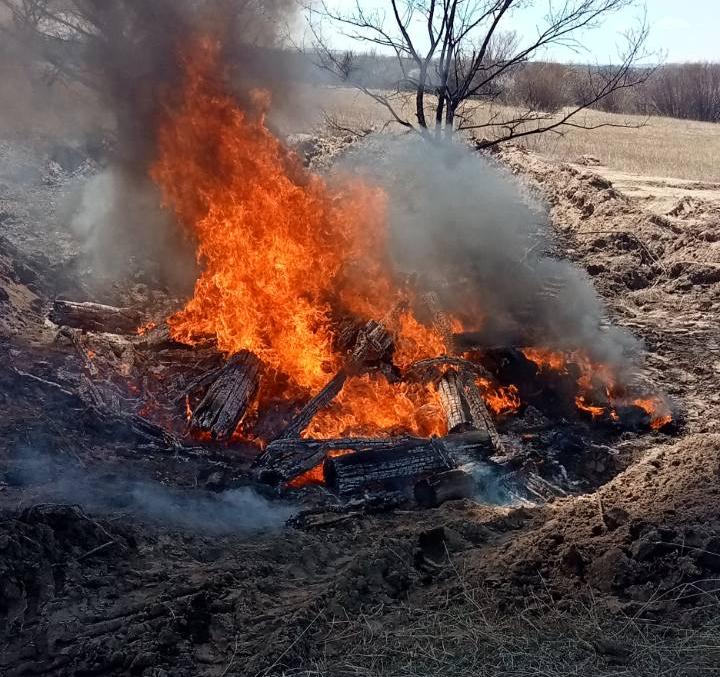 В Бурятии уничтожили трупы коров, найденные местными жителями В Бурятии уничтожили трупы коров, найденные местными жителями