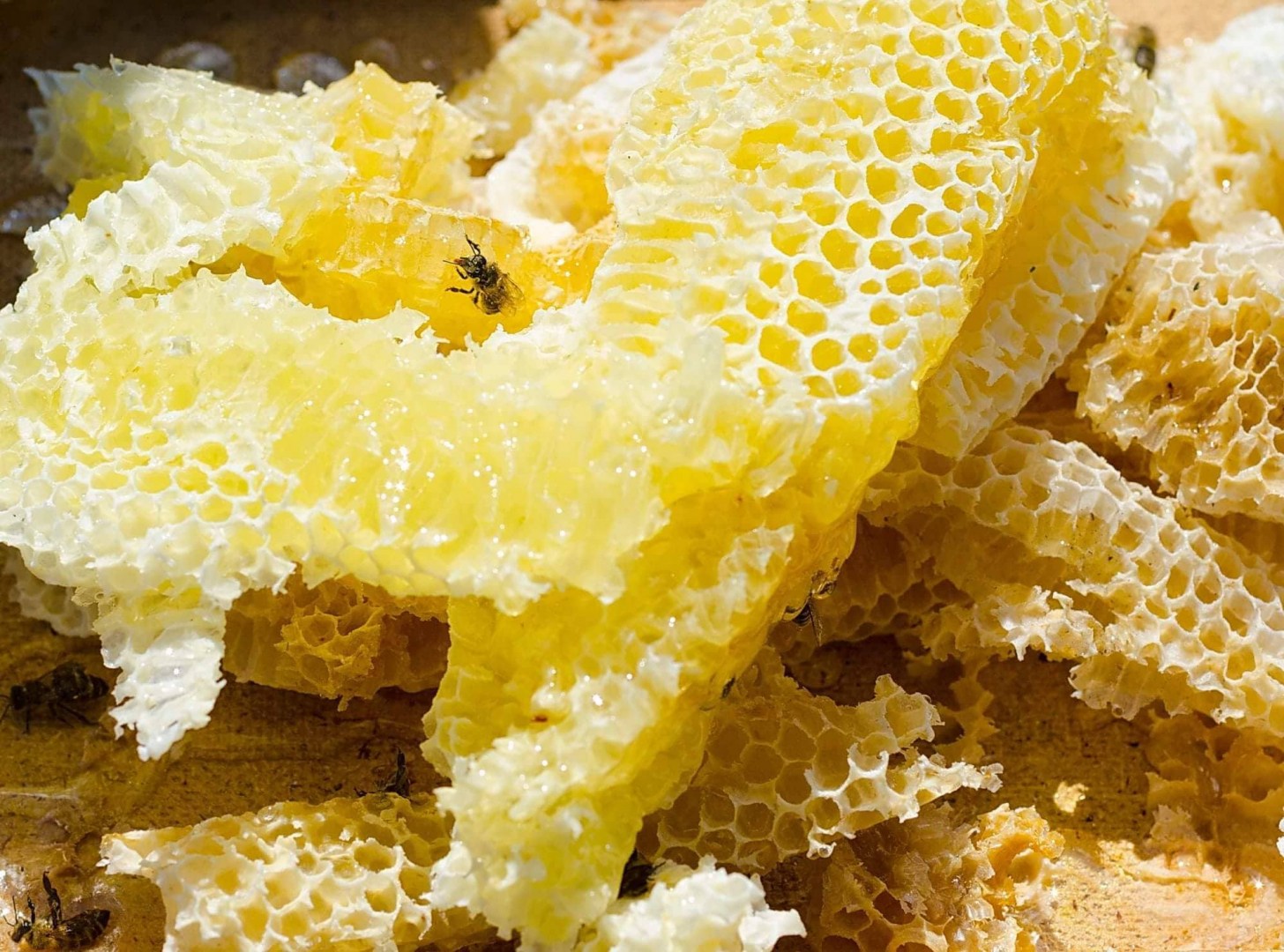 Настоящий липовый мед: как выбрать и где купить?