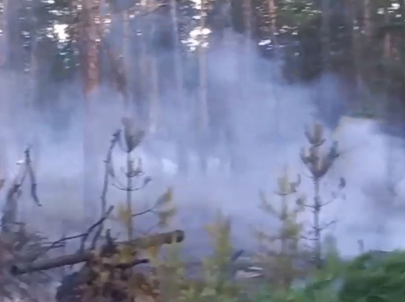 Три лесных пожара возникли в Бурятии из-за сухих гроз