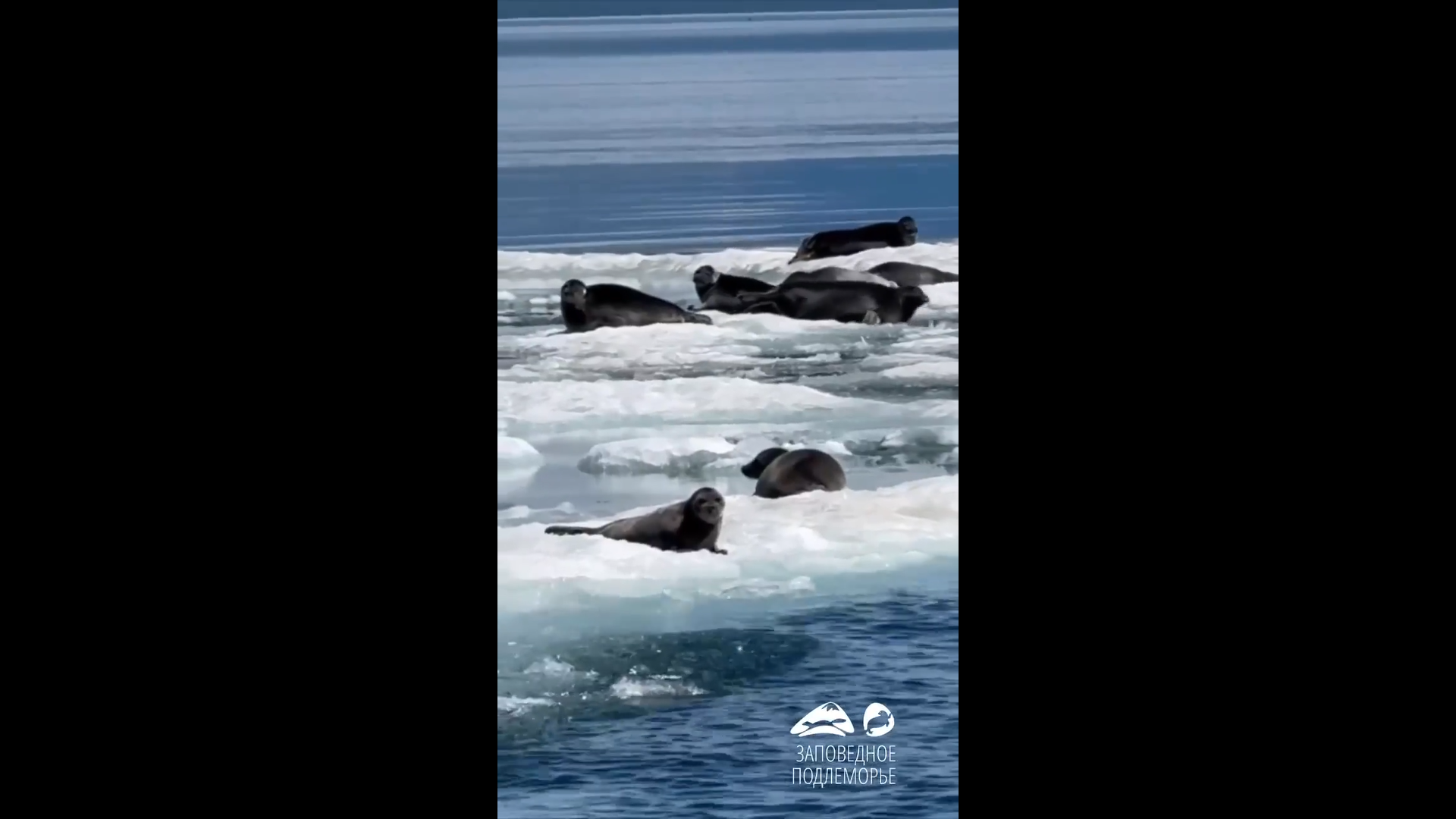� ������� �� ������� ����������� ���������� �� ���� ���� 