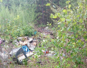 Жители Бурятии стали снимать на видео нарушителей закона