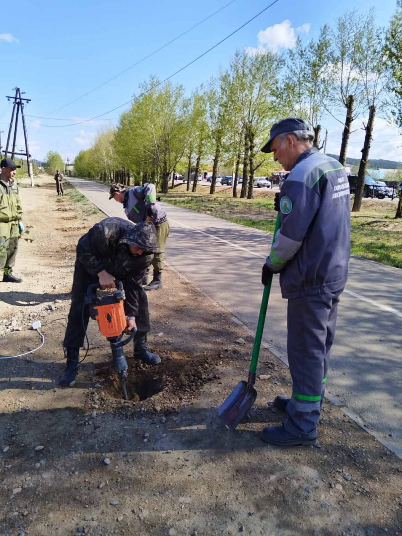 В Улан-Удэ на Верхней Березовке высадили более 600 деревьев