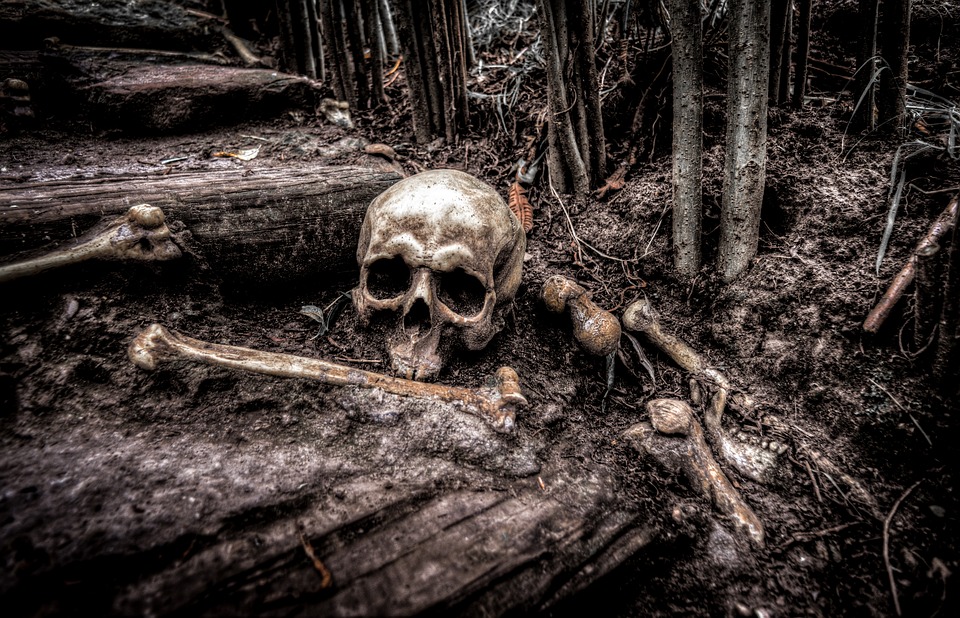 В Бурятии нашли скелет человека 