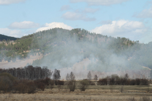 В Бурятии тушат два лесных пожара