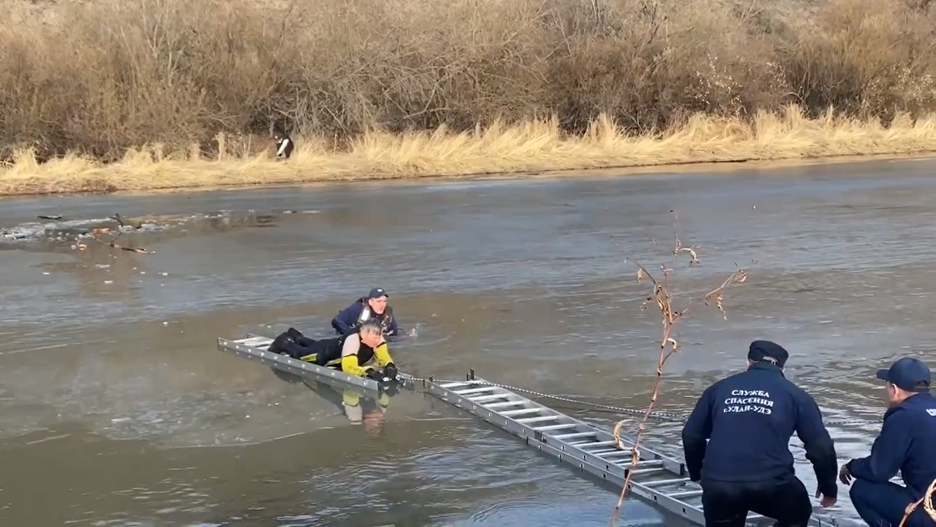 � ����-��� ������� ���������� ��� ���, ������� �� �����