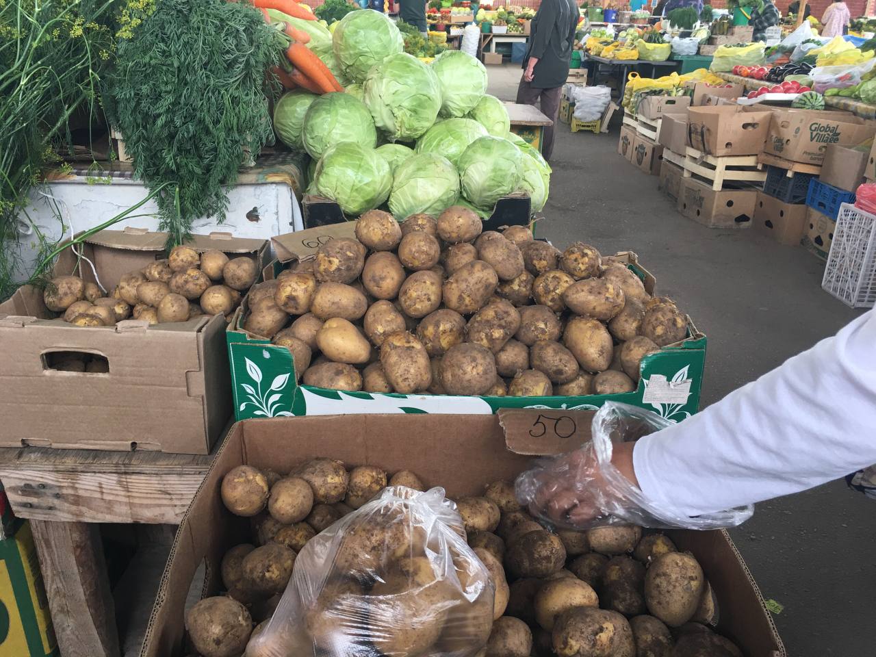  � ����-��� ���������� ��������