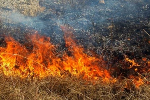 В Бурятии продолжают тушить лесные пожары в Тункинском и Муйском районах