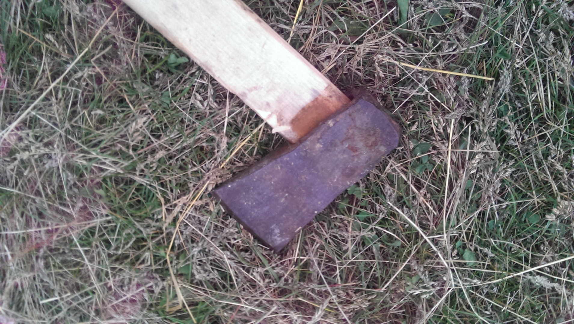 ������ ������� ������� ����������� �������