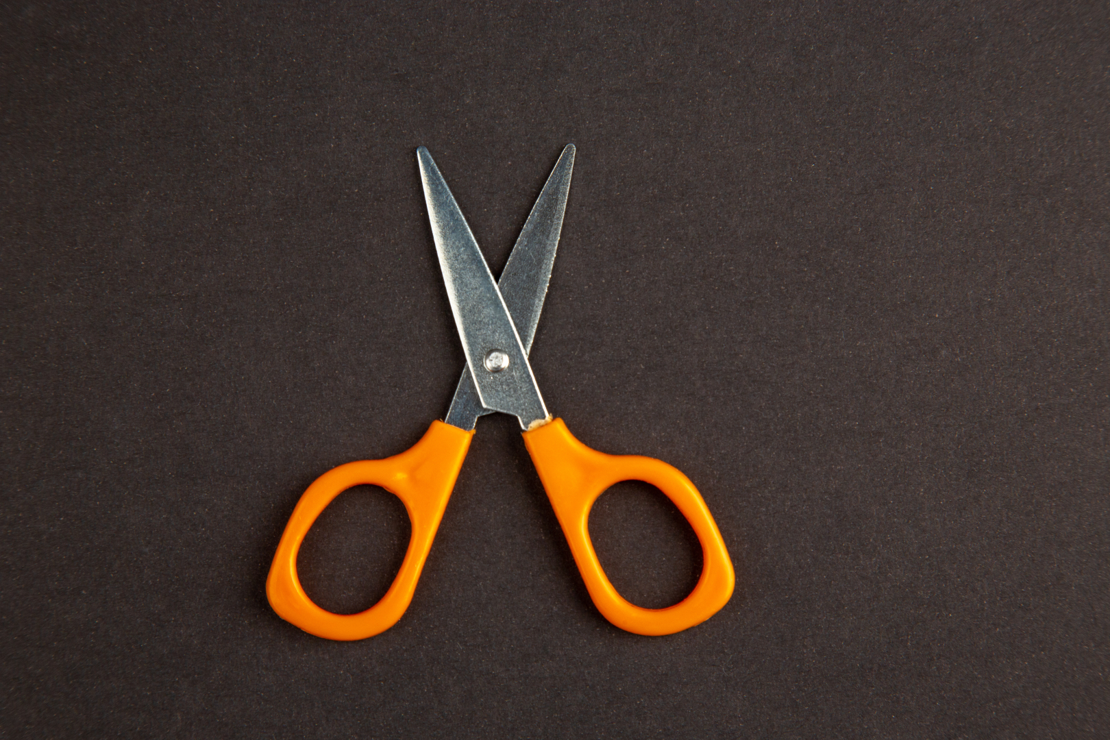 � ������� ���� ����������� � ��������� �������� ������ � ��������� �������