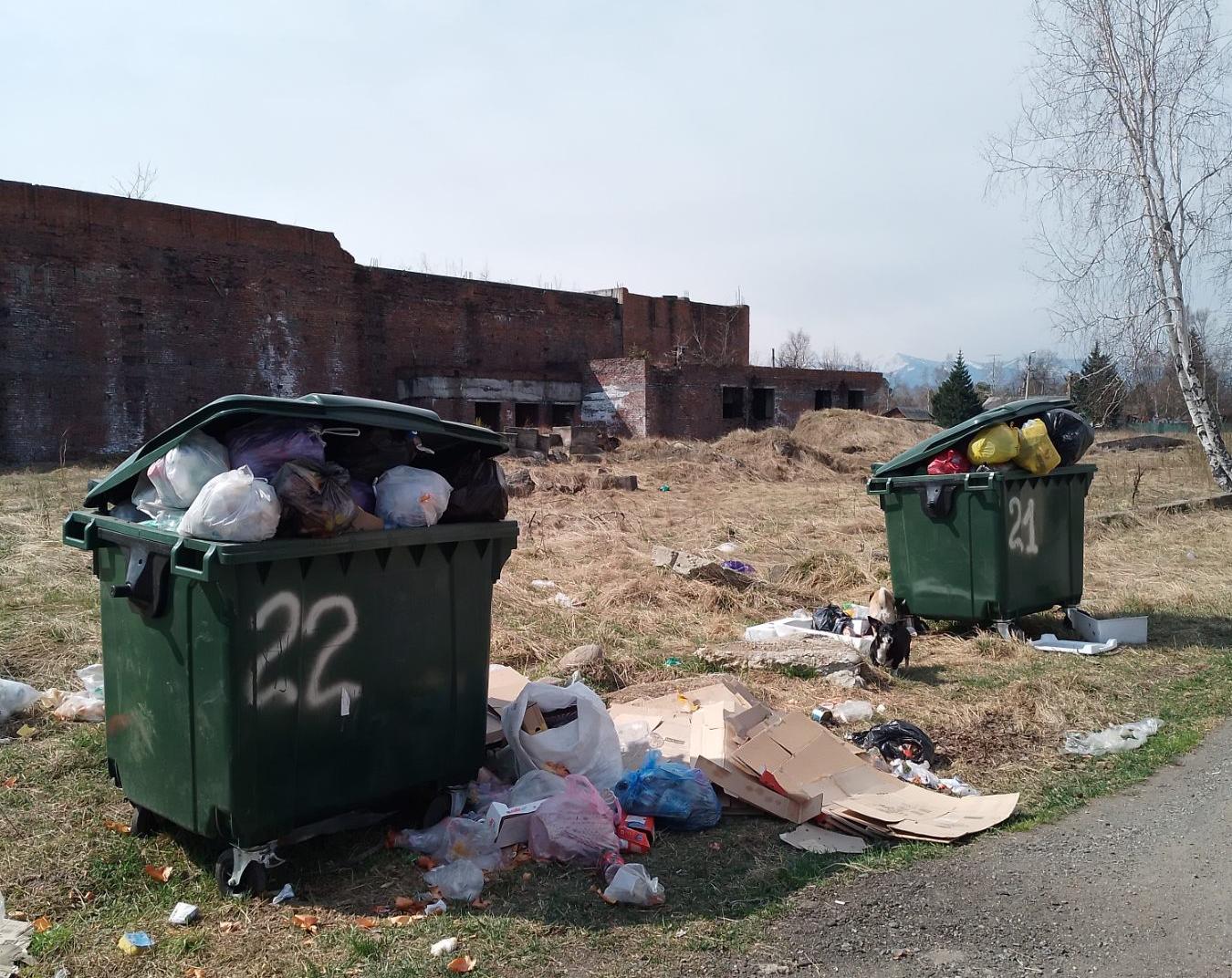 В Бурятии жители Выдрино жалуются на мусорный апокалипсис