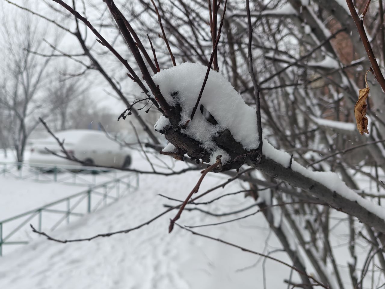 �������� � ������� ����������� � �����