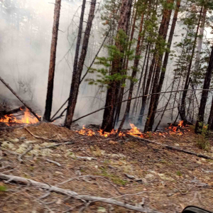 На лесные пожары в горах Бурятии не могут доставить технику
