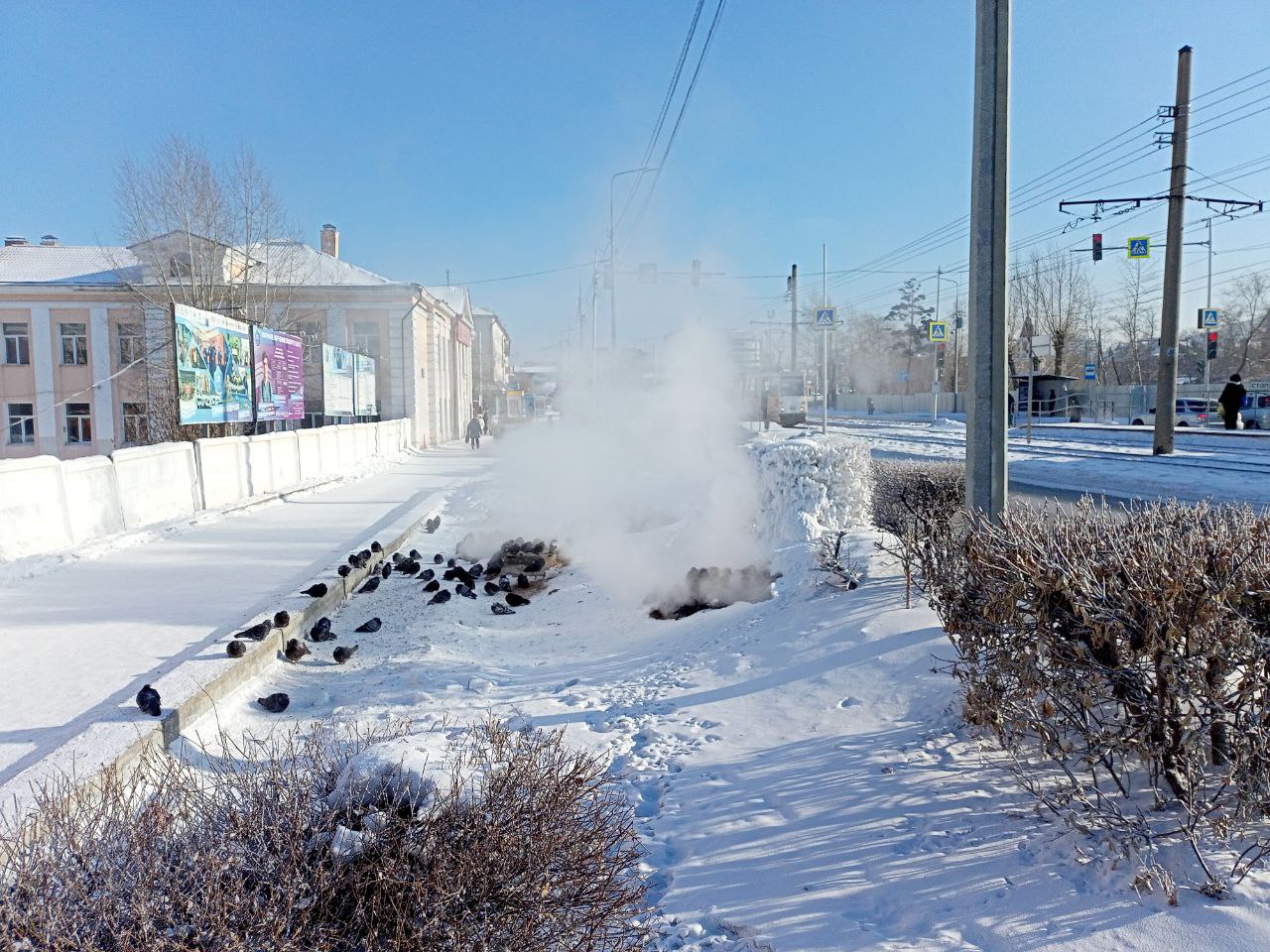 � ����-��� ���� ����� �� ������� ��������� ������� �������� �� �����