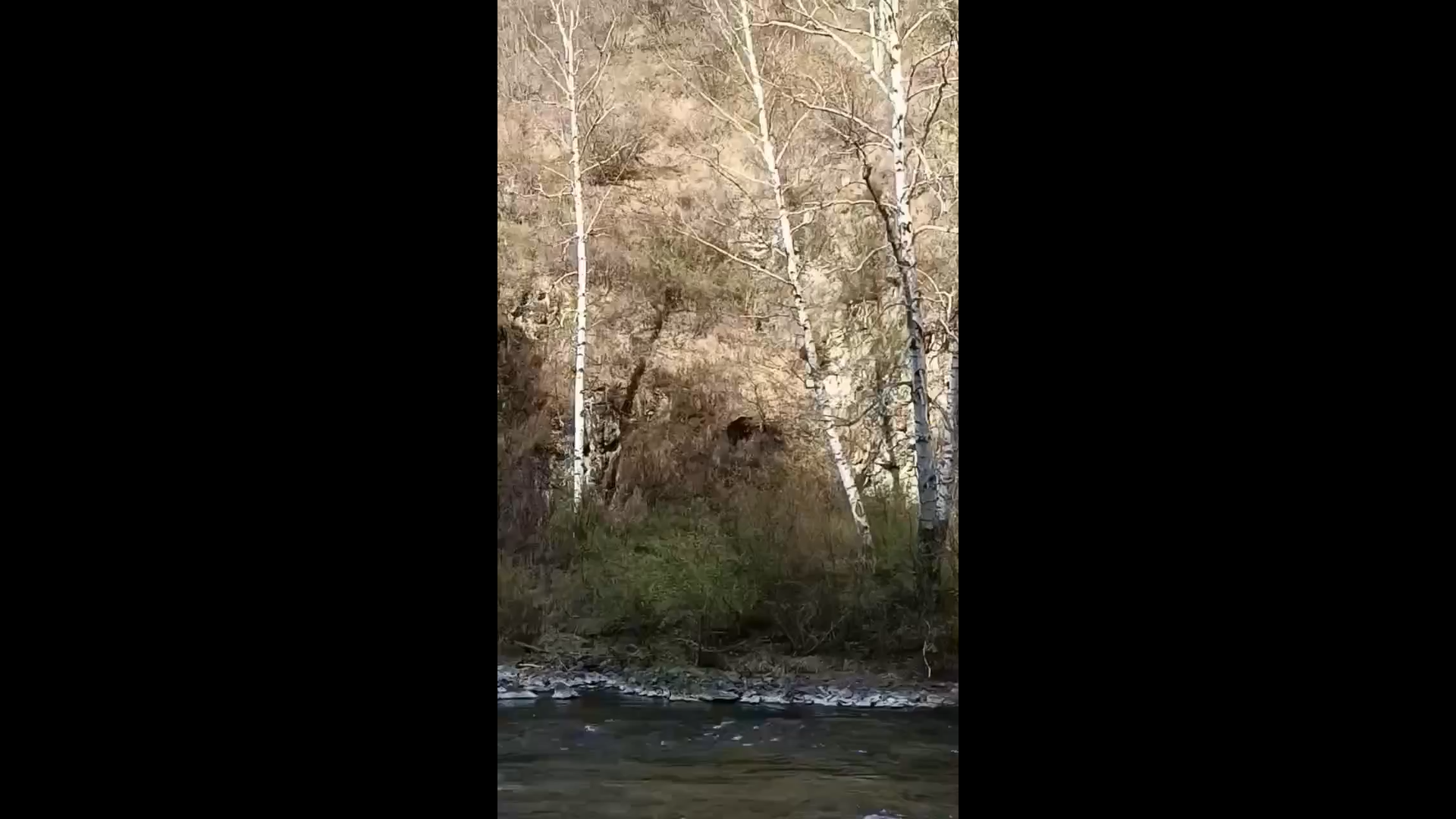 � ������� ������� ����������� �������-��������� 