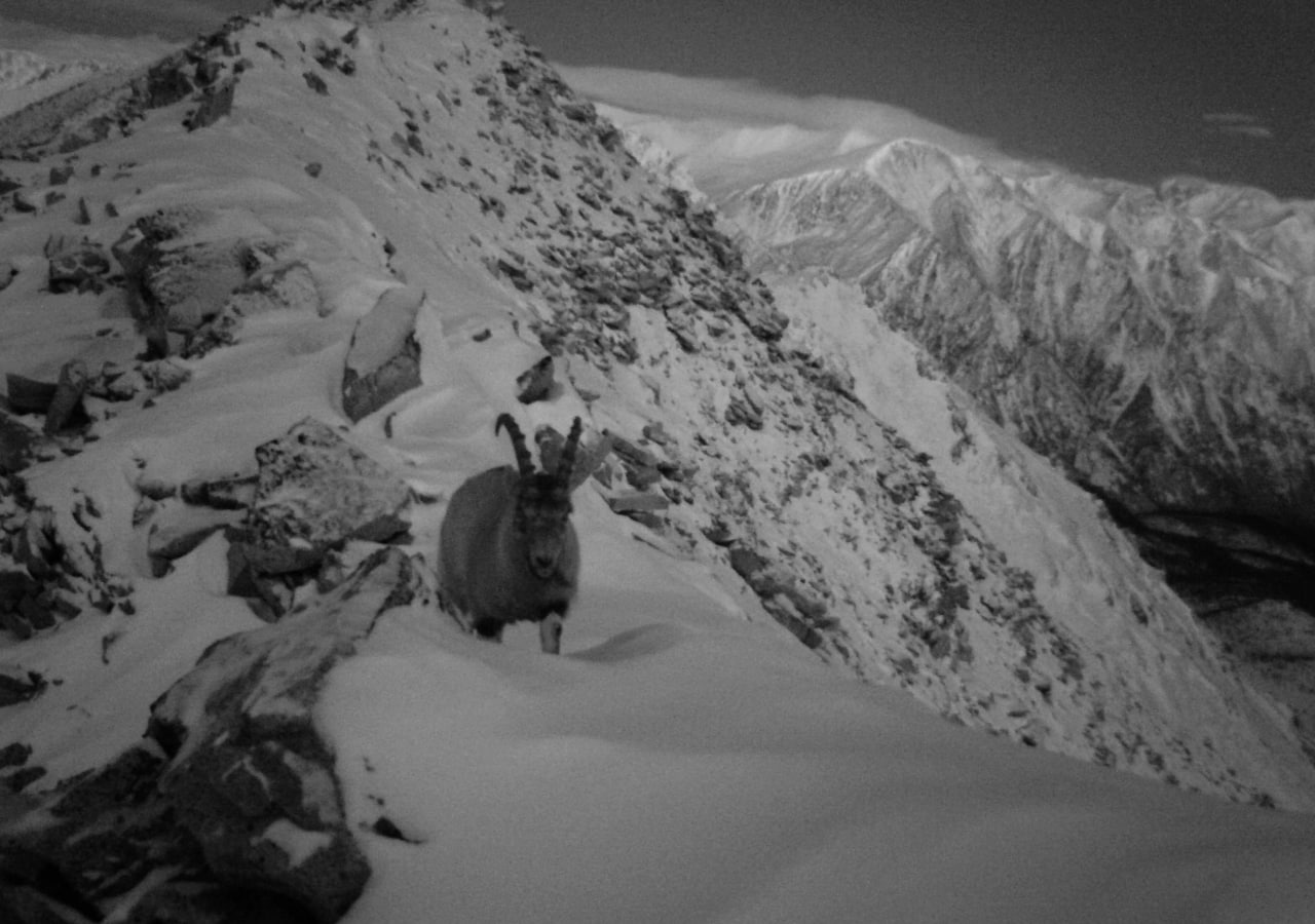 � ����� ������� ��������� �������� �����