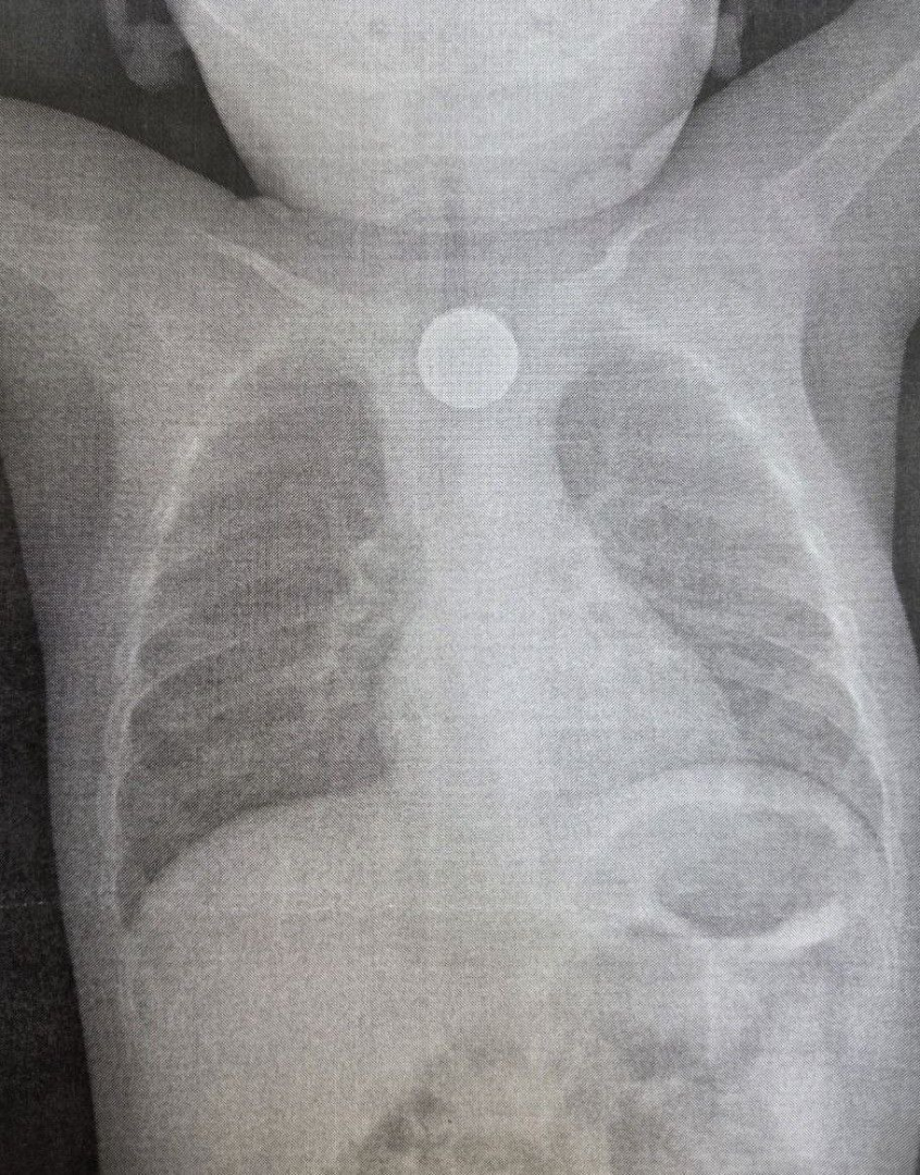 � ������� ��������� ������� ������� ���� ��������, ��������� ��������� � ������