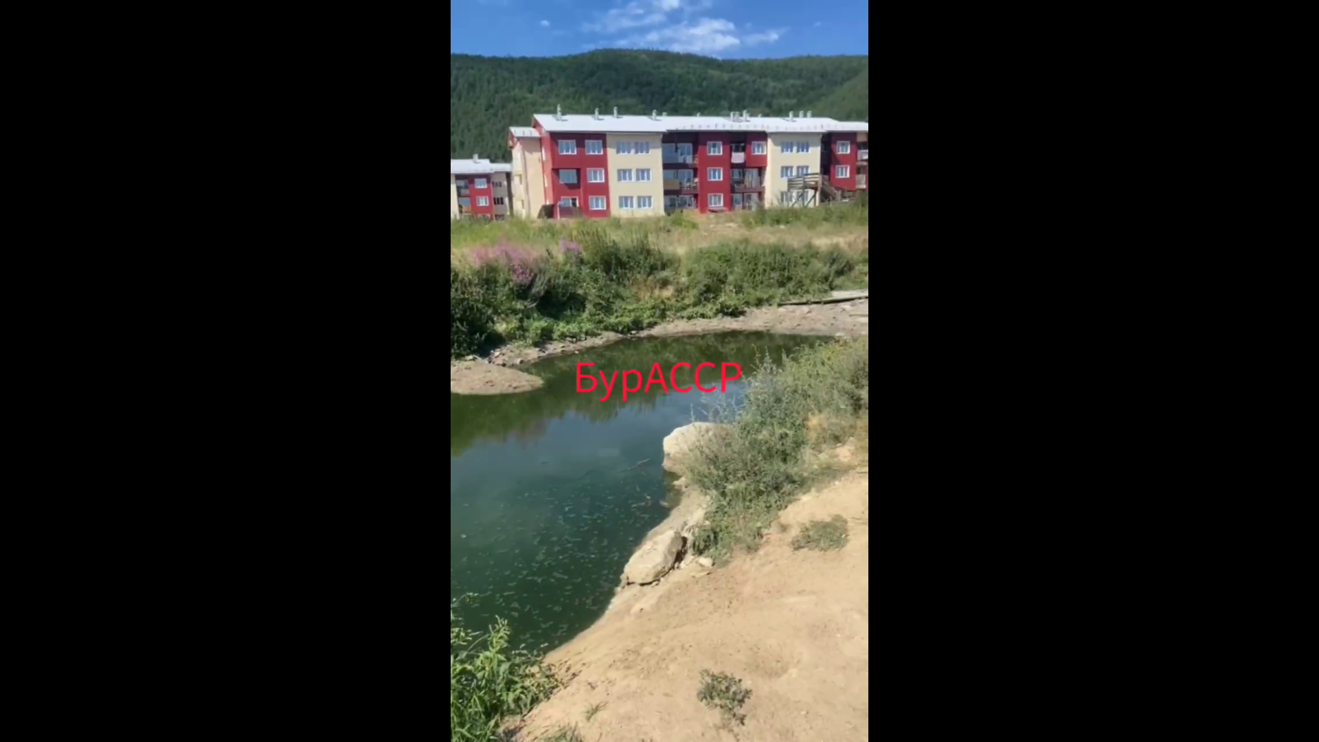 � ������� ������� ������������ �������� ������� ���� ��-�� ������� ���