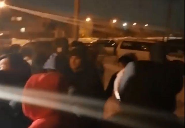 Жители Улан-Удэ взбунтовались против возможного соседства с собачьим приютом Жители Улан-Удэ взбунтовались против возможного соседства с собачьим приютом