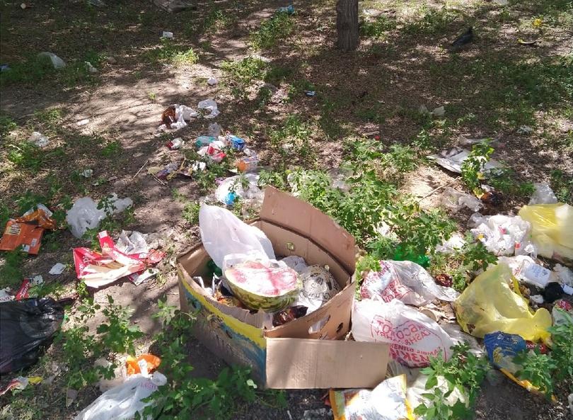 В Улан-Удэ сквер по проспекту 50-летия Октября превратили в "помойку" В Улан-Удэ сквер по проспекту 50-летия Октября превратили в "помойку"