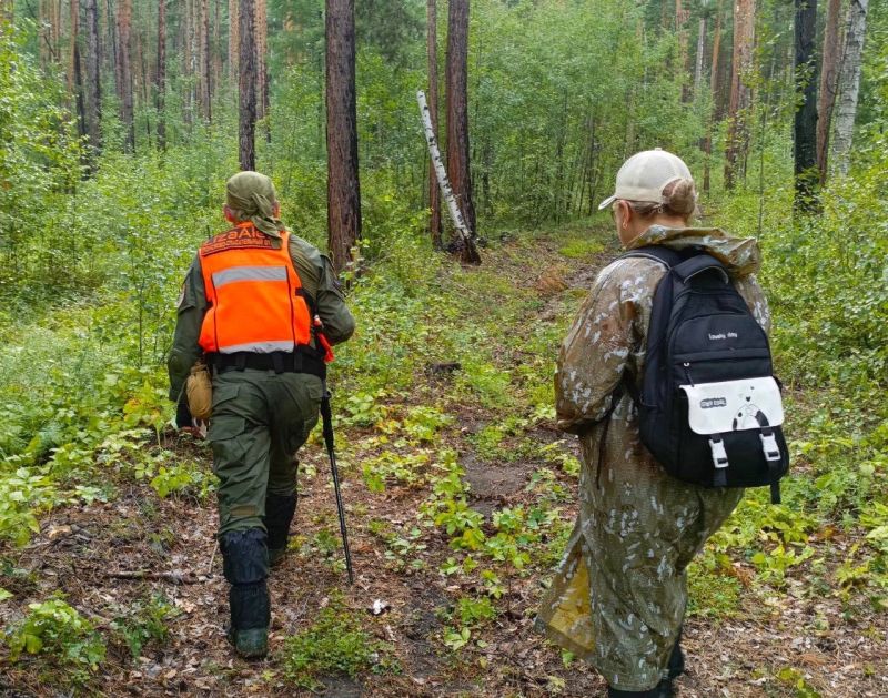 Пропавший в лесу грибник выходил на связь, но не смог определить свои координаты