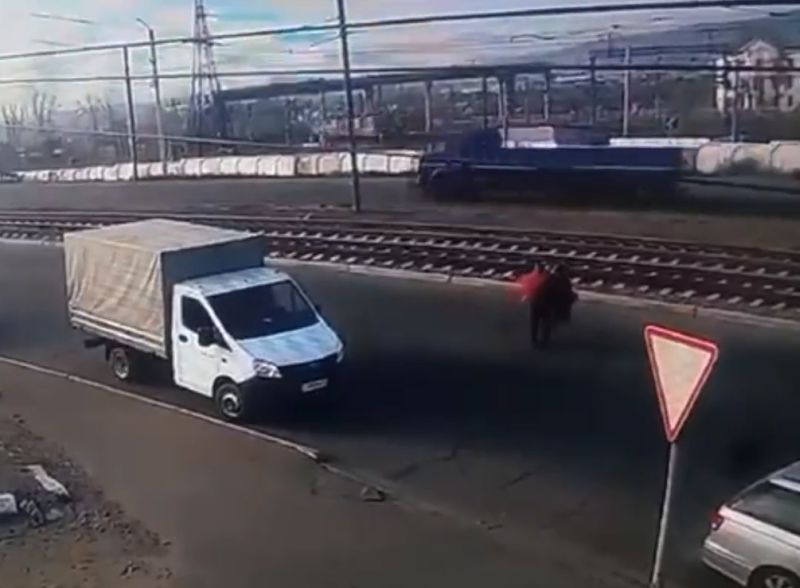 Житель Улан-Удэ с охапкой украденных вещей перешел дорогу в неположенном месте Житель Улан-Удэ с охапкой украденных вещей перешел дорогу в неположенном месте