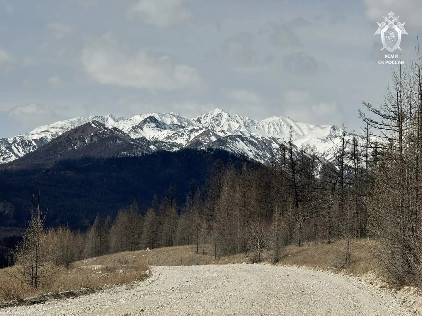 ������ � ������� ������� �������������������� ������ ��������