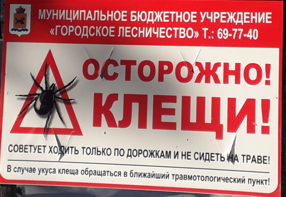 Клещи в Бурятии покусали уже более 3 тысяч человек Клещи в Бурятии покусали уже более 3 тысяч человек