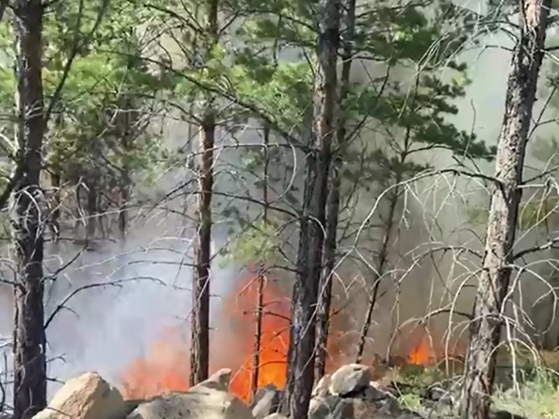 В Улан-Удэ вспыхнул лесной пожар вблизи пригородного СНТ «Зенит»