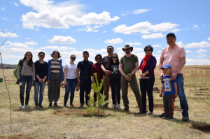 Дипломаты России и Монголии внесли вклад в монгольскую программу «Миллиард деревьев»
